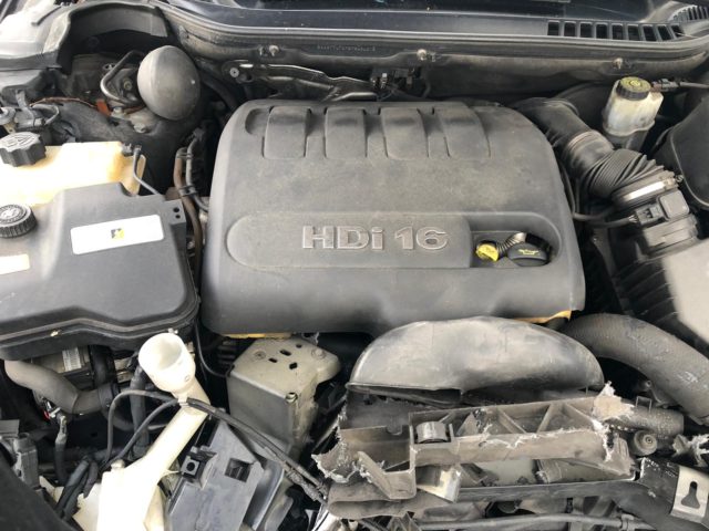 1538dbbb-2599-43e5-8482-128ca9b80f49